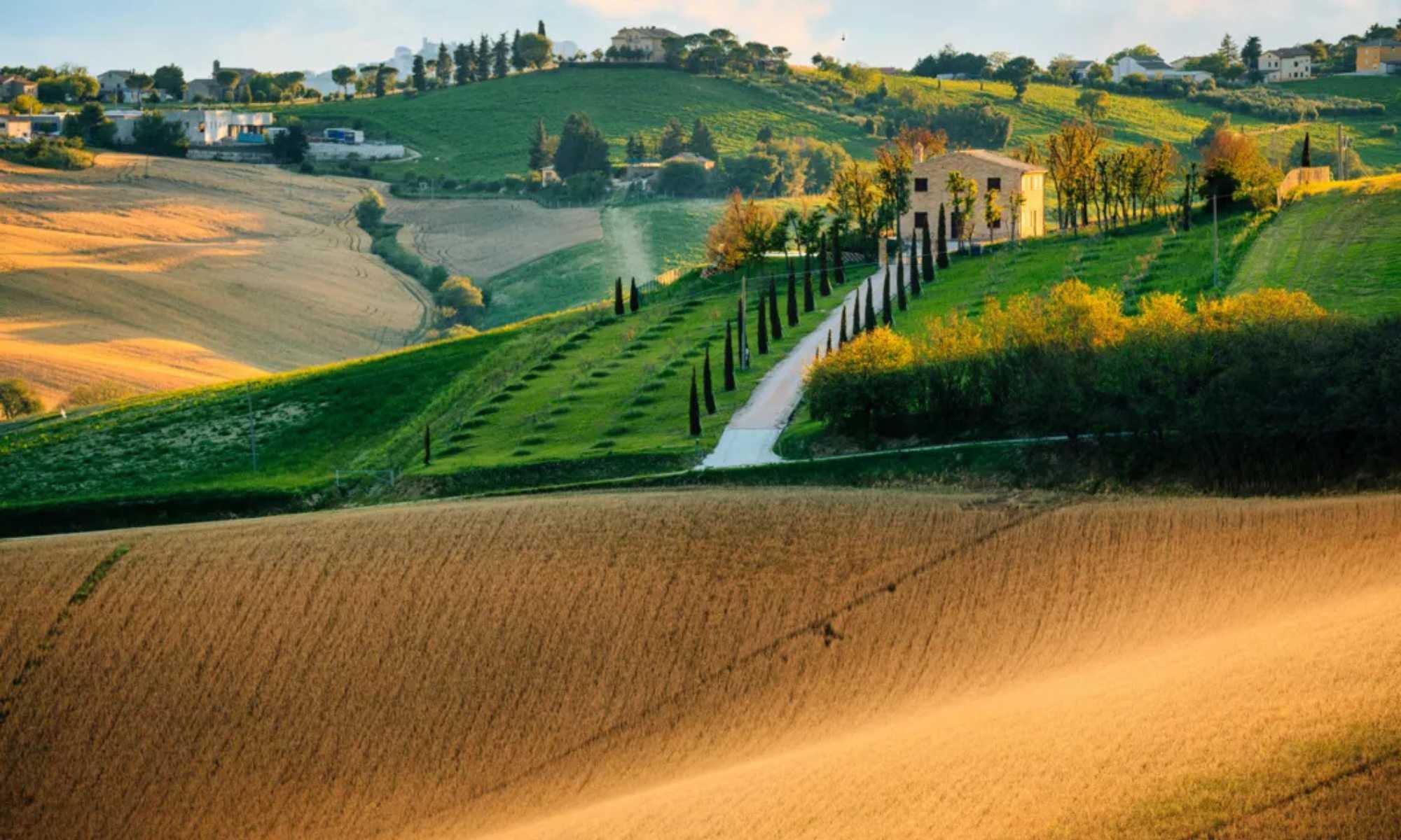 Agriturismo in Toscana con vista panoramica, ideale per soggiorni economici sotto 60 euro.