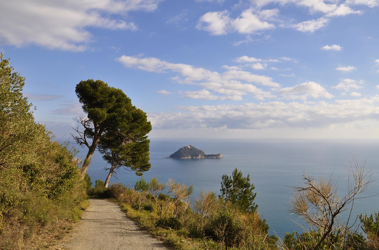 Spiaggia dell'Isola d'Elba con acque cristalline e sabbia dorata, ideale per una giornata di relax.