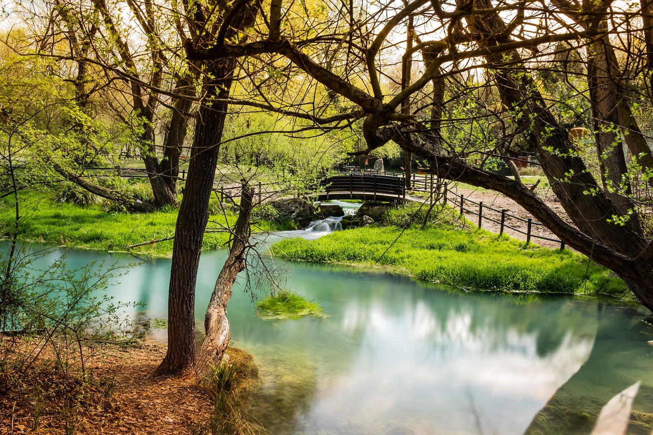 Oasi naturale nel Lazio, paesaggio verde con laghetti e vegetazione rigogliosa.