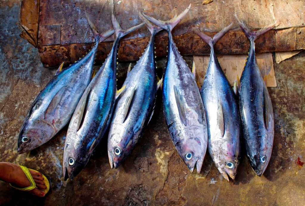 Non mangiare mai questo tipo di pesce: ecco perché le etichette possono ingannare